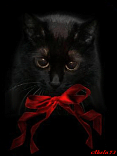 Черный кот. Черная кошка анимация. 3553982-943f853fea153637