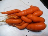 Чудо-юдо морковное!