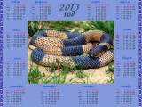Календарь на 2013 год  Символ года, змея с синей окраской