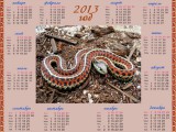 Календарь на 2013 год Символ года, змея с красной окраской
