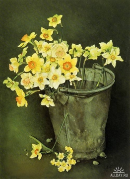 bucket-of-mixed-daffodils-and-narcissi-76x56-cmgouache1989 -   