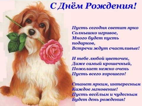http://img10.proshkolu.ru/content/media/pic/std/4000000/3301000/3300621-b2570e5b2351ab06.jpg
