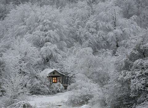 Gorgeous-Winter-Landscapes -   